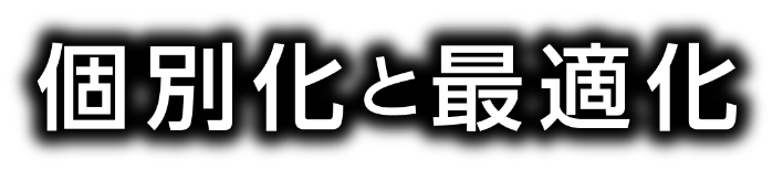 個別化と最適化